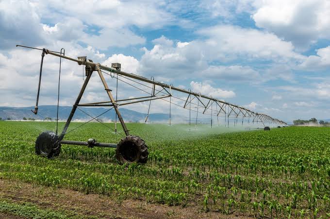 The 5 best law firms for water law in Celle – clarifying rights to use and access water