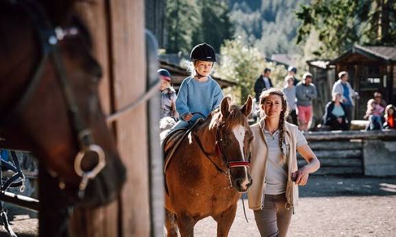 5 Best Horse Riding Coaching Services in Oberhausen - Build riding confidence with structured instruction